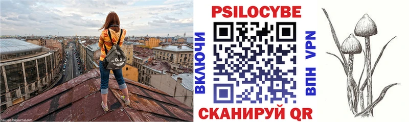 Купить закладки  Донской  Псилоцибиновые грибы Psilocybine cubensis 